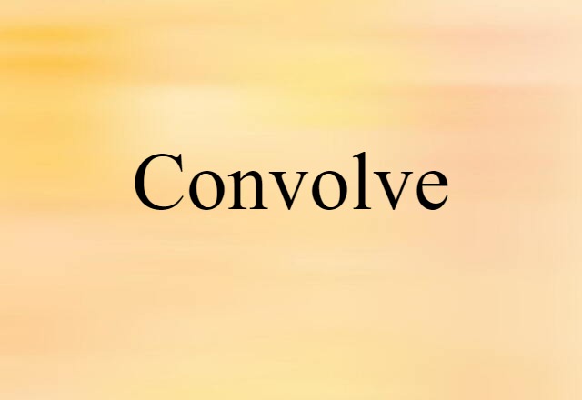 Convolve (noun) Definition, Meaning & Examples