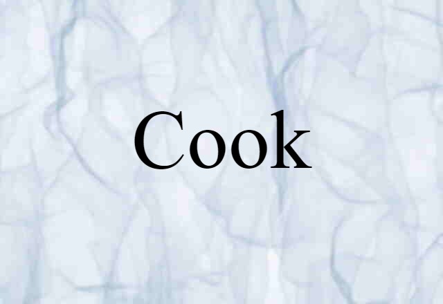 Cook (noun) Definition, Meaning & Examples