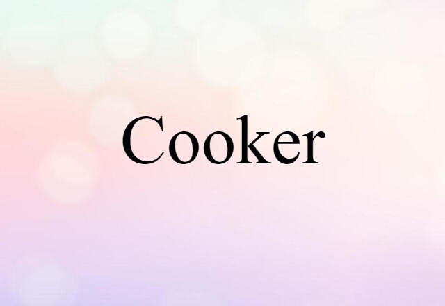 Cooker (noun) Definition, Meaning & Examples