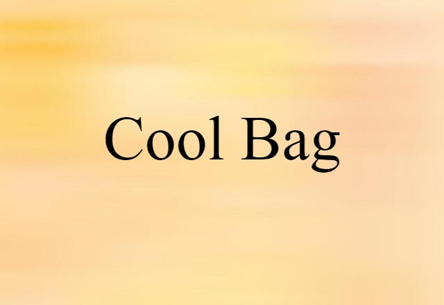 Cool Bag (noun) Definition, Meaning & Examples