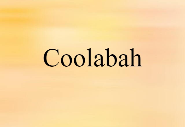 coolabah