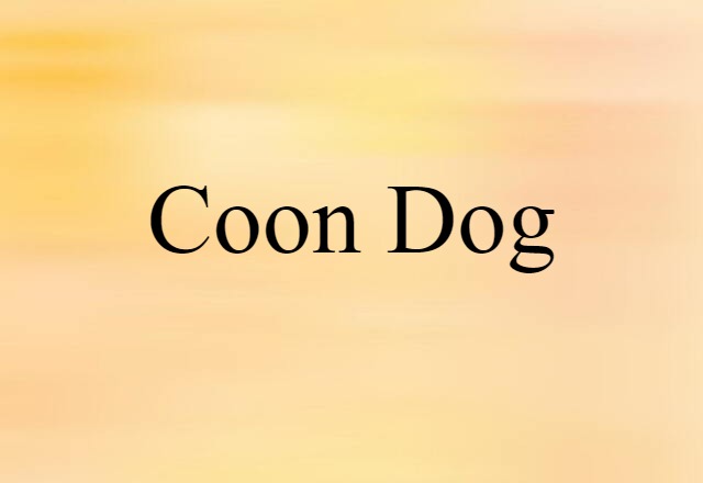 Coon Dog (noun) Definition, Meaning & Examples