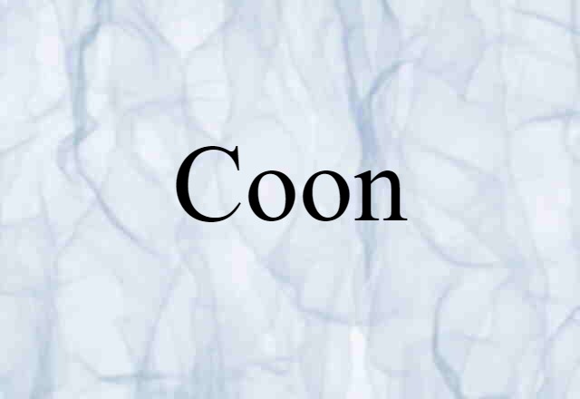 Coon (noun) Definition, Meaning & Examples