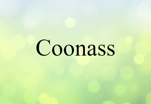 Coonass (noun) Definition, Meaning & Examples