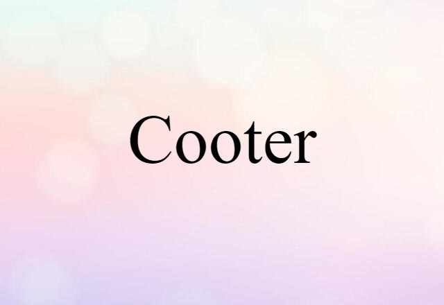 Cooter (noun) Definition, Meaning & Examples