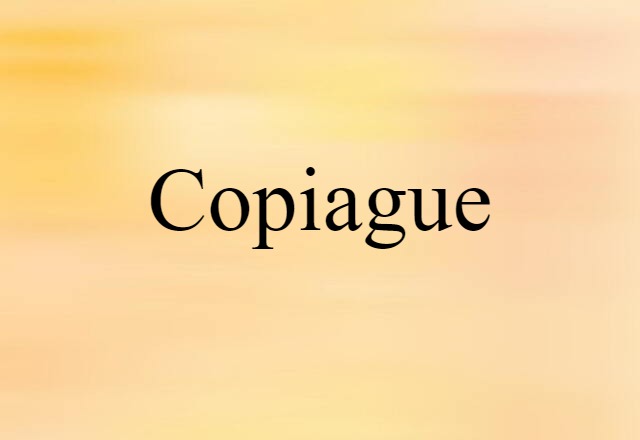 Copiague (noun) Definition, Meaning & Examples