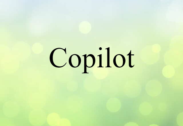 Copilot (noun) Definition, Meaning & Examples