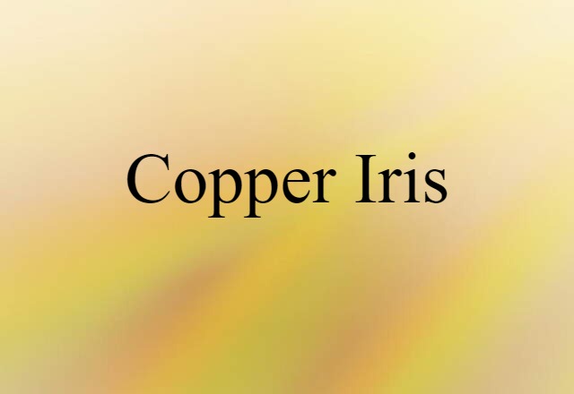 copper iris