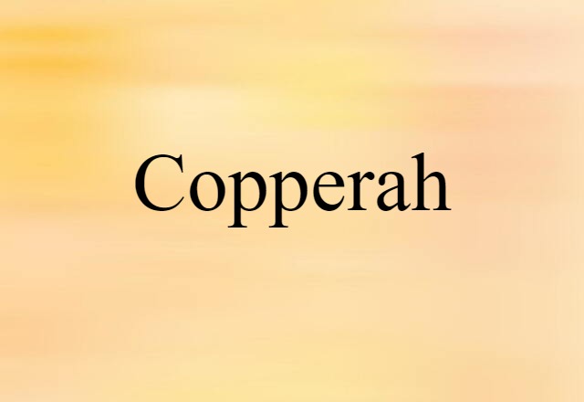 Copperah (noun) Definition, Meaning & Examples