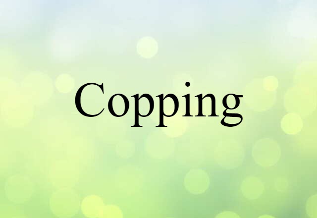 Copping (noun) Definition, Meaning & Examples