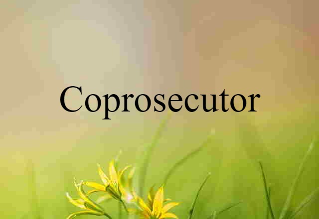 Coprosecutor (noun) Definition, Meaning & Examples