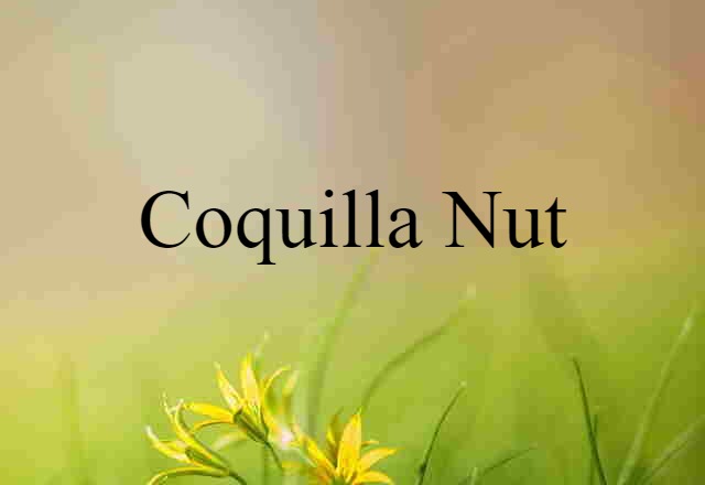 coquilla nut