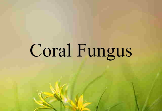 coral fungus