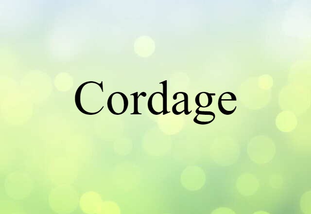 Cordage (noun) Definition, Meaning & Examples