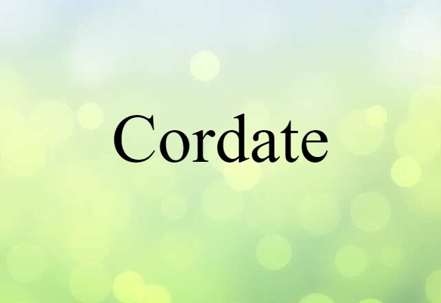 Cordate (noun) Definition, Meaning & Examples