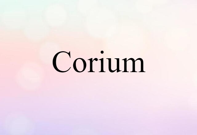 Corium (noun) Definition, Meaning & Examples