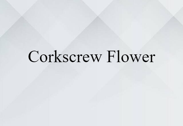 Corkscrew Flower (noun) Definition, Meaning & Examples