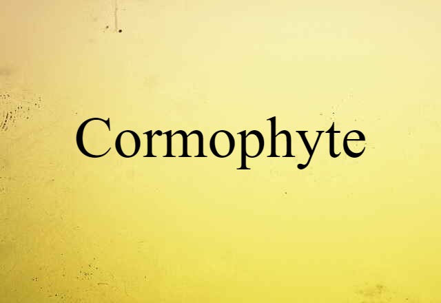 Cormophyte (noun) Definition, Meaning & Examples