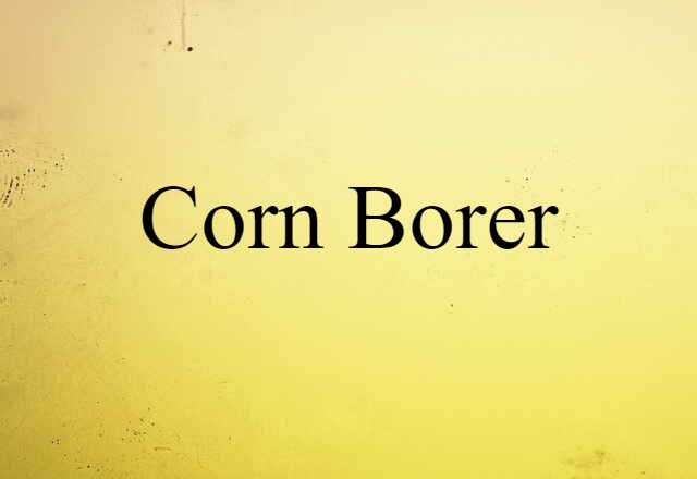 Corn Borer (noun) Definition, Meaning & Examples