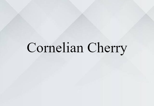 cornelian cherry