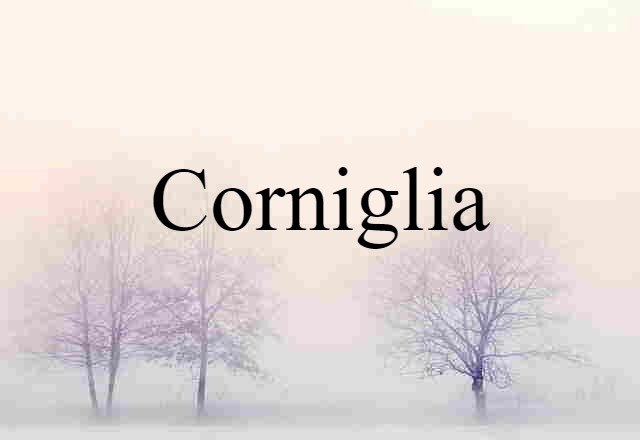 Corniglia (noun) Definition, Meaning & Examples