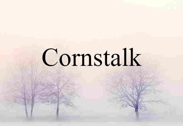 Cornstalk (noun) Definition, Meaning & Examples