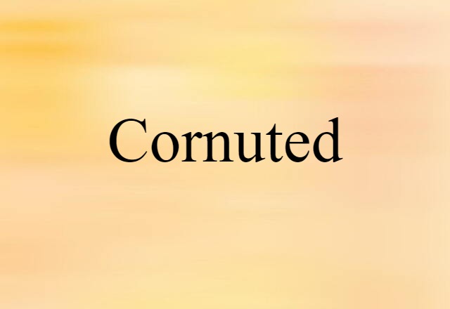 Cornuted (noun) Definition, Meaning & Examples