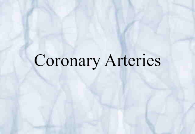 coronary arteries