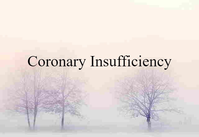 Coronary Insufficiency (noun) Definition, Meaning & Examples