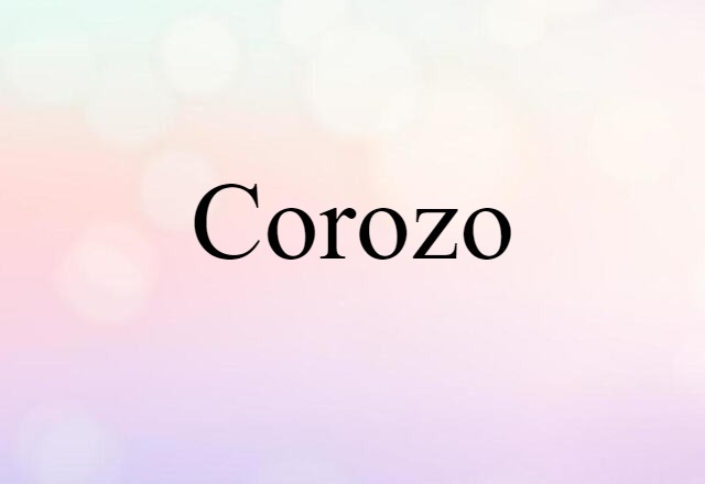 Corozo (noun) Definition, Meaning & Examples