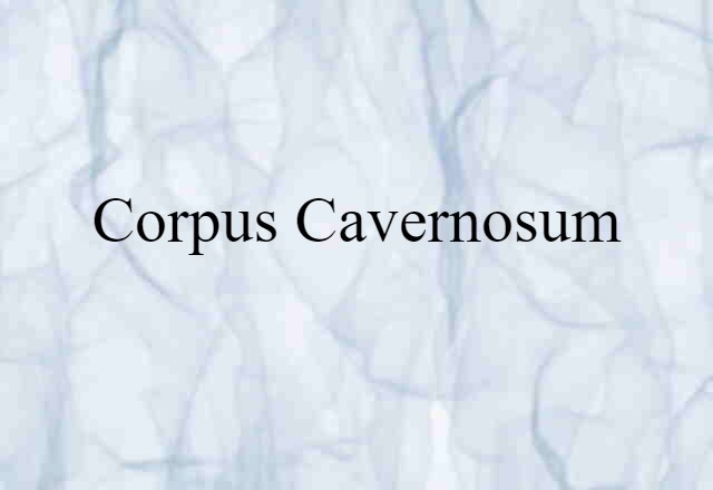 Corpus Cavernosum (noun) Definition, Meaning & Examples