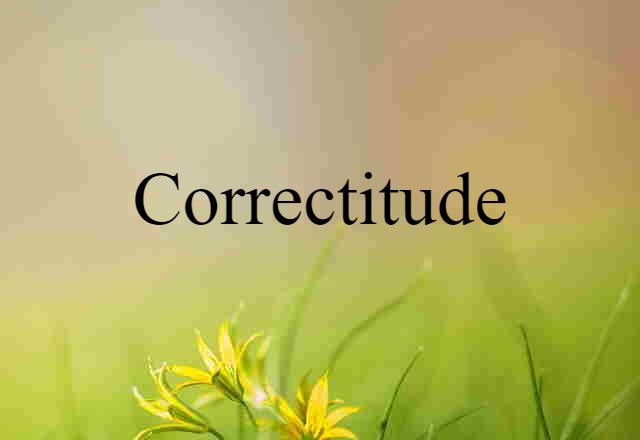 correctitude