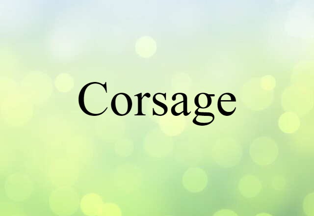 Corsage (noun) Definition, Meaning & Examples