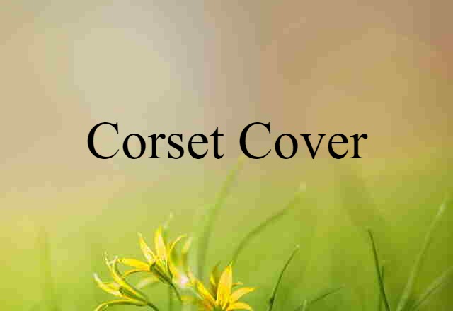 corset cover