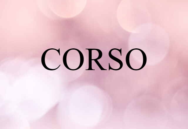 CORSO (noun) Definition, Meaning & Examples