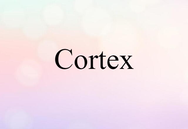 cortex