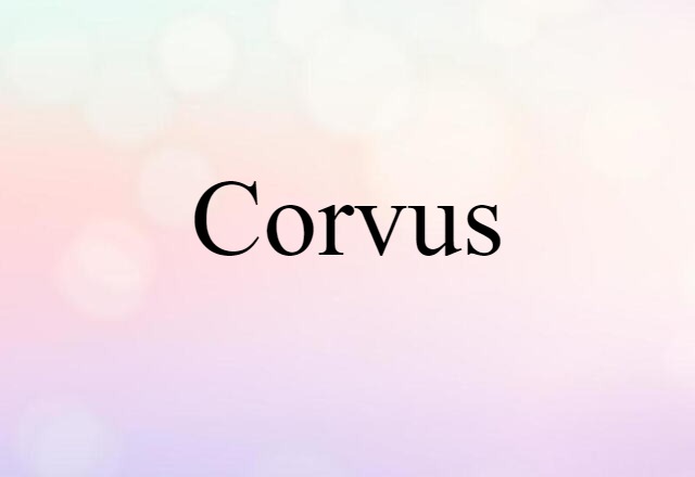 Corvus