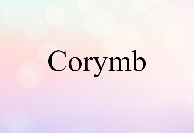 Corymb (noun) Definition, Meaning & Examples