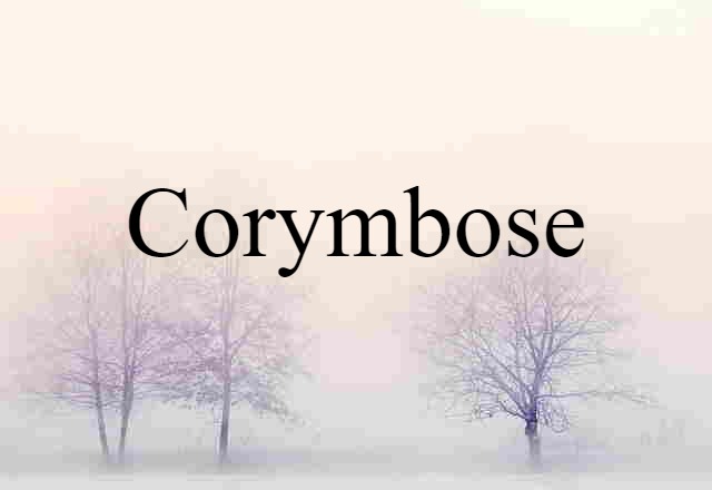 corymbose