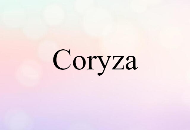 Coryza (noun) Definition, Meaning & Examples