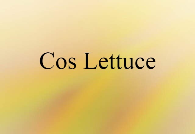 Cos Lettuce (noun) Definition, Meaning & Examples