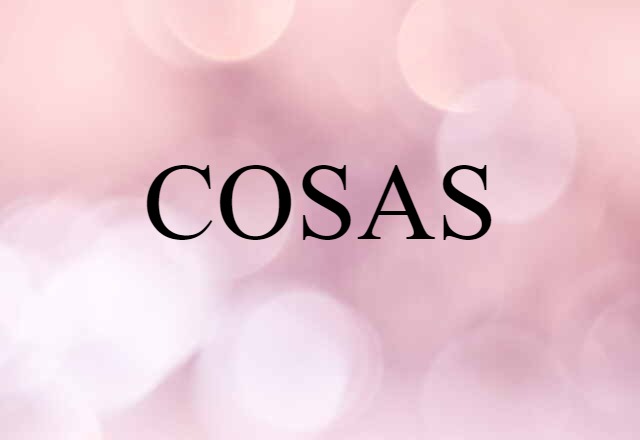 COSAS (noun) Definition, Meaning & Examples