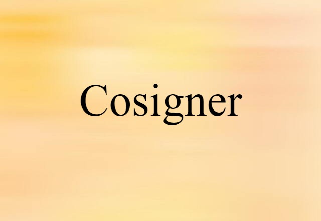 Cosigner (noun) Definition, Meaning & Examples