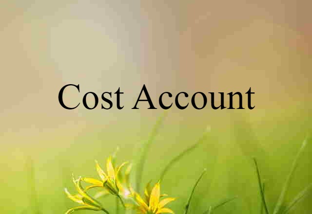 Cost-account (noun) Definition, Meaning & Examples