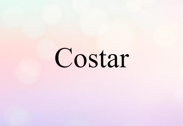 Costar (noun) Definition, Meaning & Examples