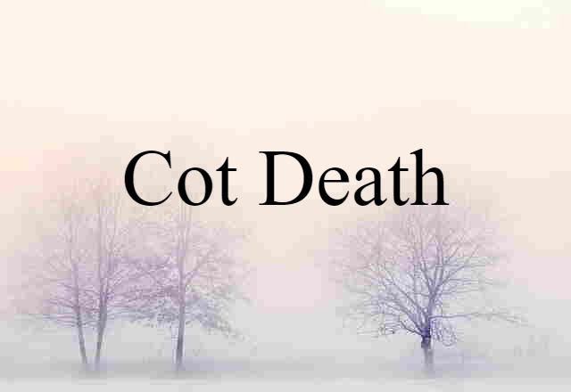 Cot Death (noun) Definition, Meaning & Examples