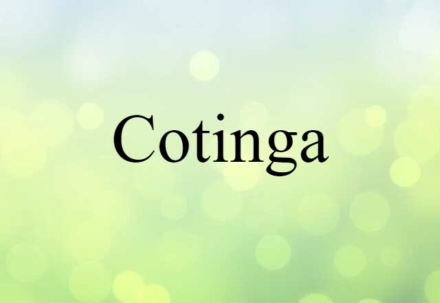 cotinga