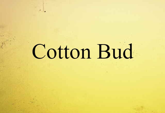 Cotton Bud (noun) Definition, Meaning & Examples