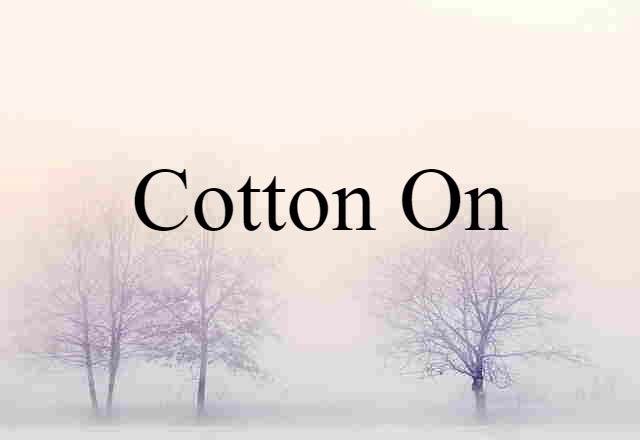 Cotton On (noun) Definition, Meaning & Examples