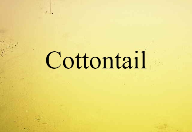 Cottontail (noun) Definition, Meaning & Examples